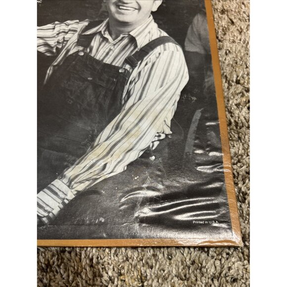 Cotton Ivy: 100% Cotton Lp Vinyl Record ~ CAS-9796 Cannon Records 1976 - Picture 3 of 5